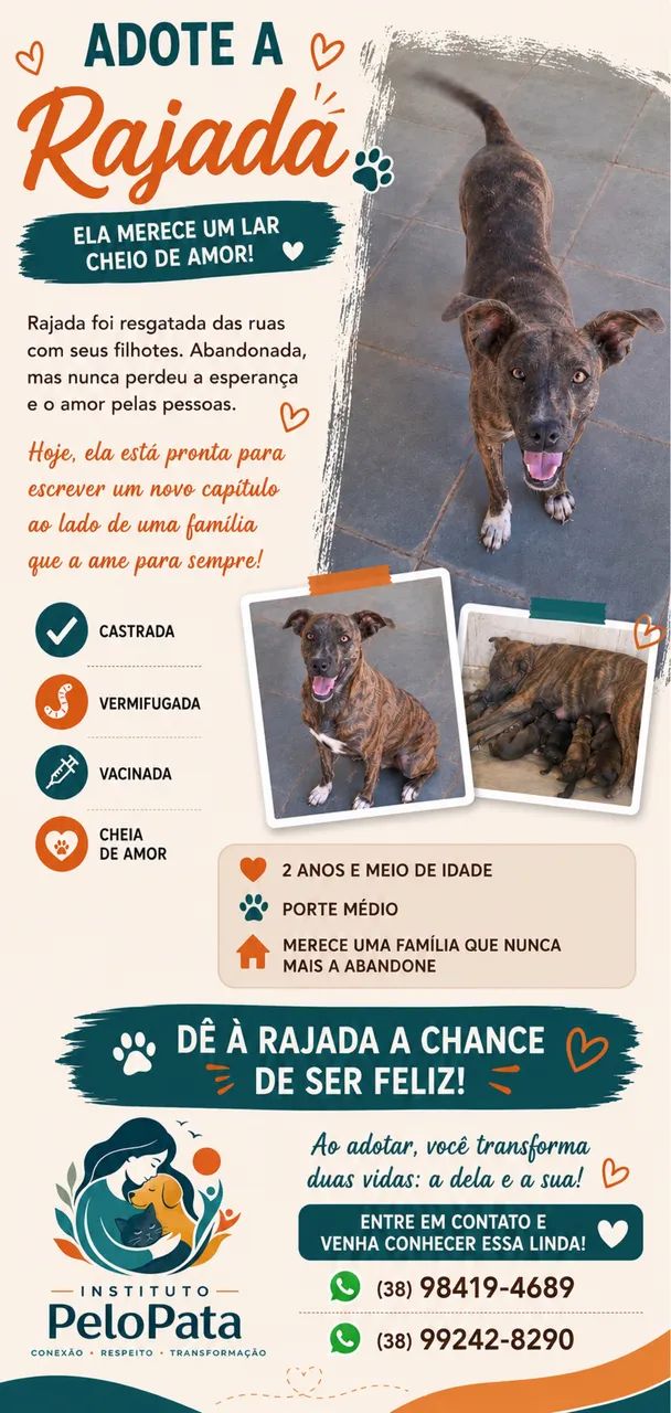 Adote 