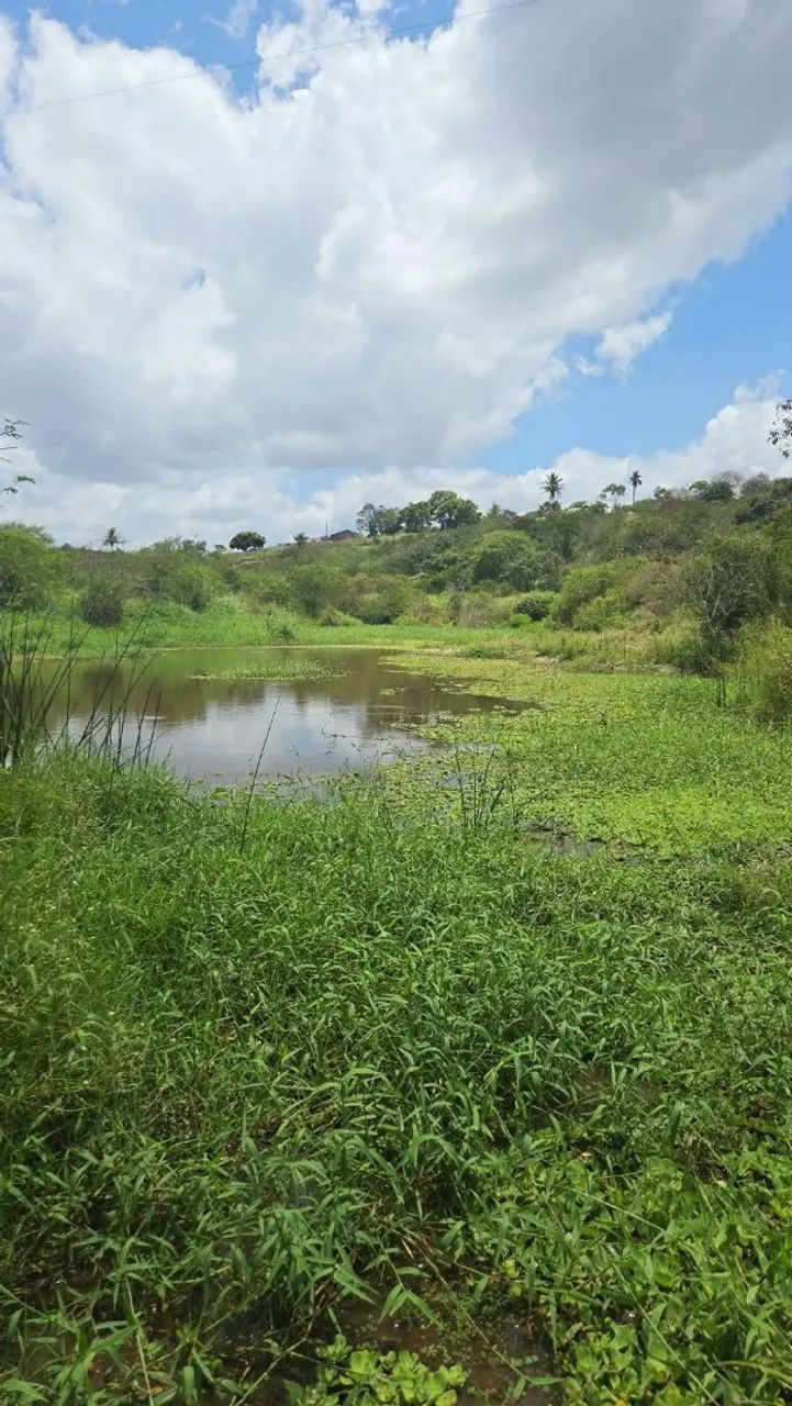Sitio em Lagoa Seca com muita água 