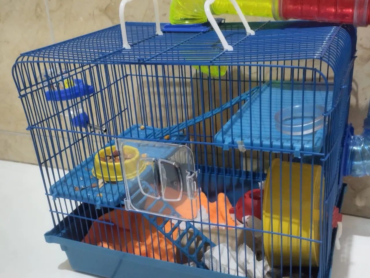 Casa de Hamster ? - Foto 4
