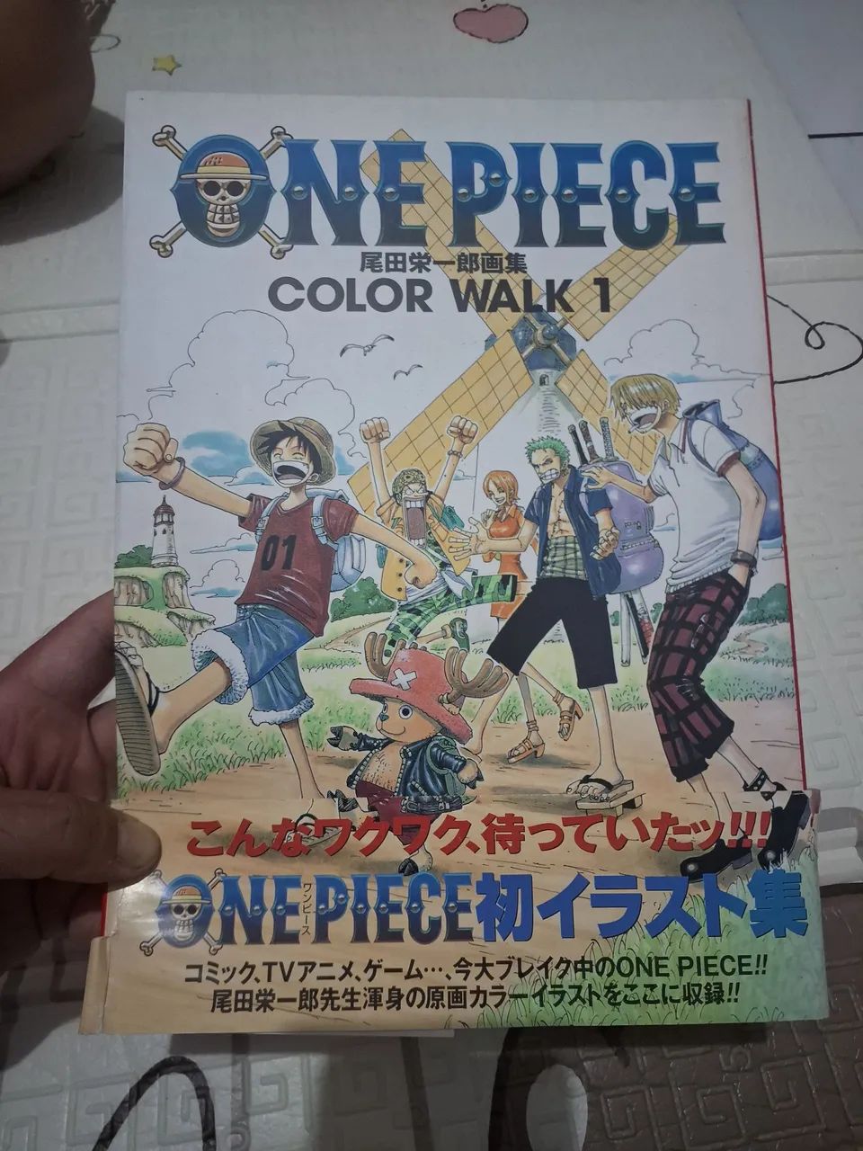 One piece color walk 1