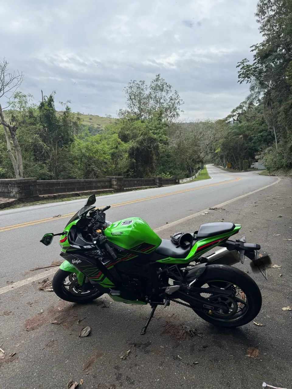 ピッグ　custom order Kawasaki Zx-4r 2024 - 1503137483 | OLX