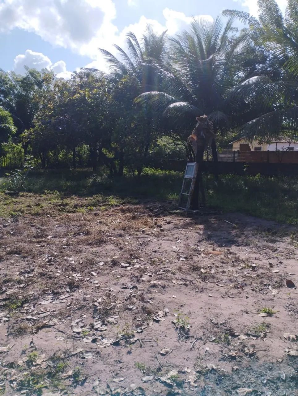 Granja em Extremoz 