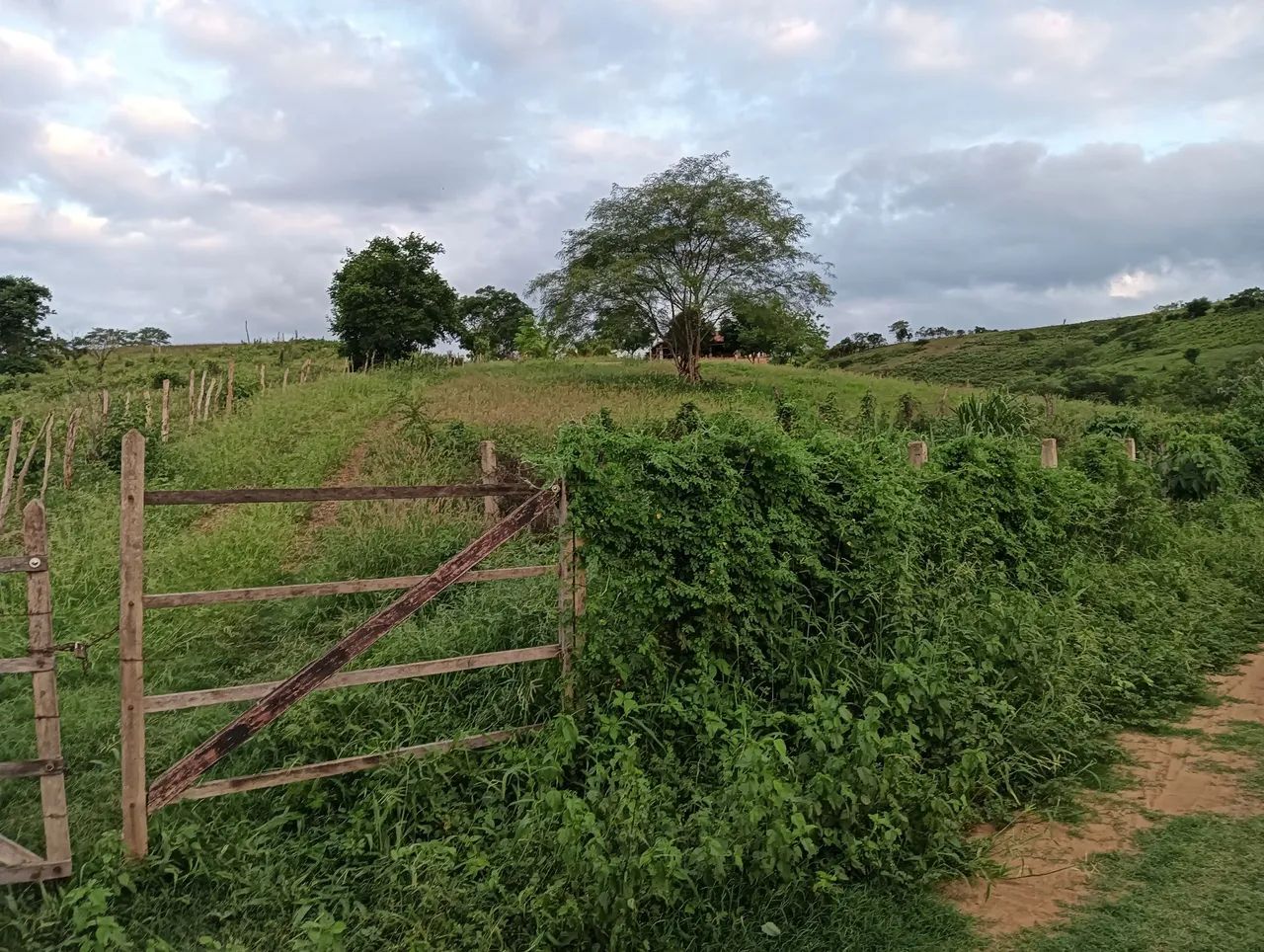 Foto - Ingá - 