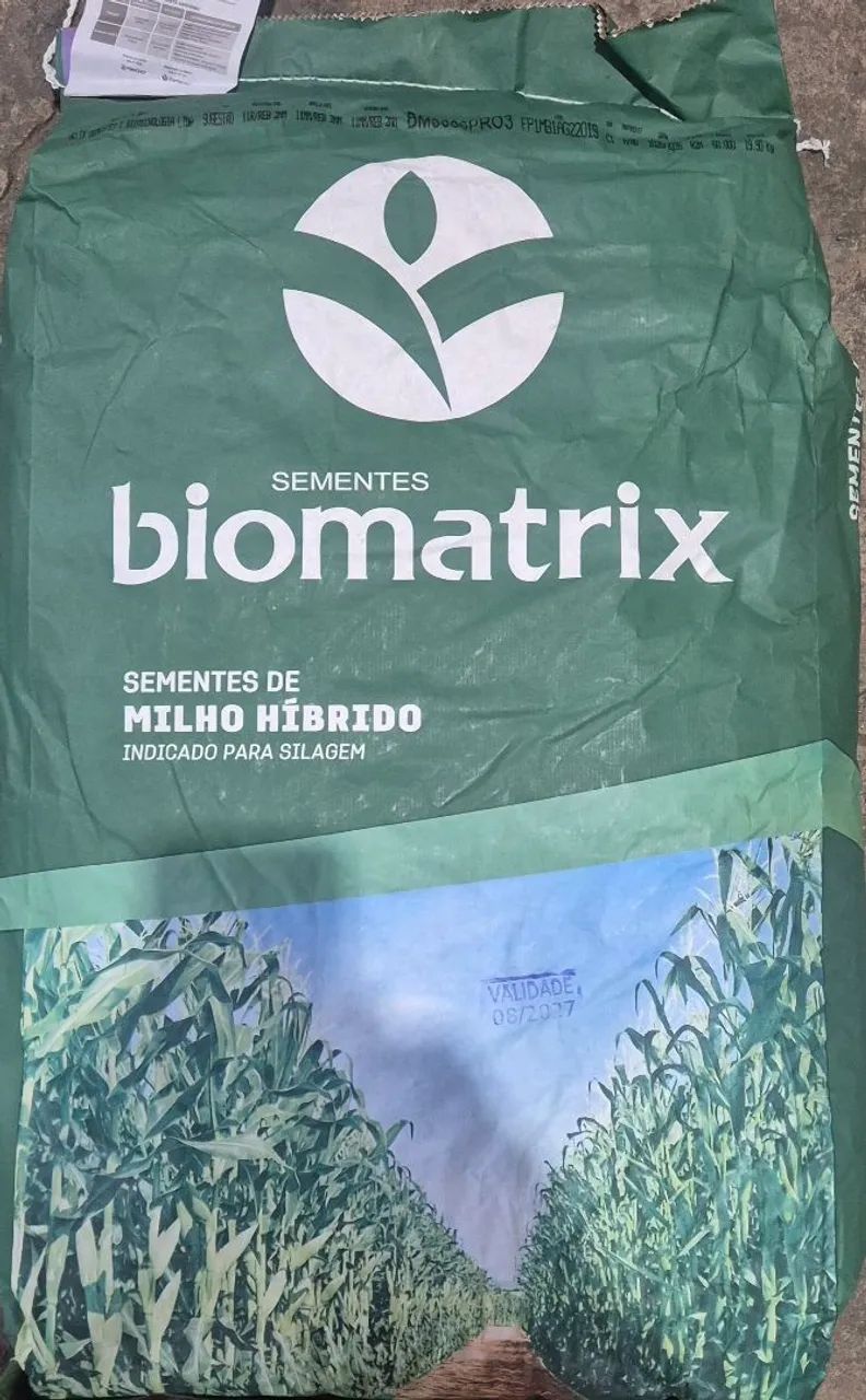 Semente de milho Biomatrix BM3066 PRO3 saco com 19.9kg - Foto 4