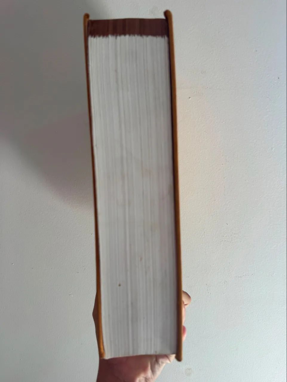 Dicionário Houaiss - Foto 2
