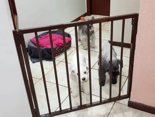 GRADES DE PROTEÇÃO 