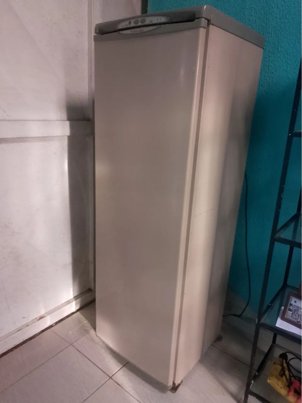 Frezzer vertical 110v - Foto 5