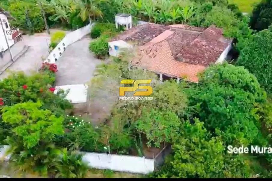 GRANJA A VENDA COM 3 HECTARES EM AREIA -PB - Foto 5