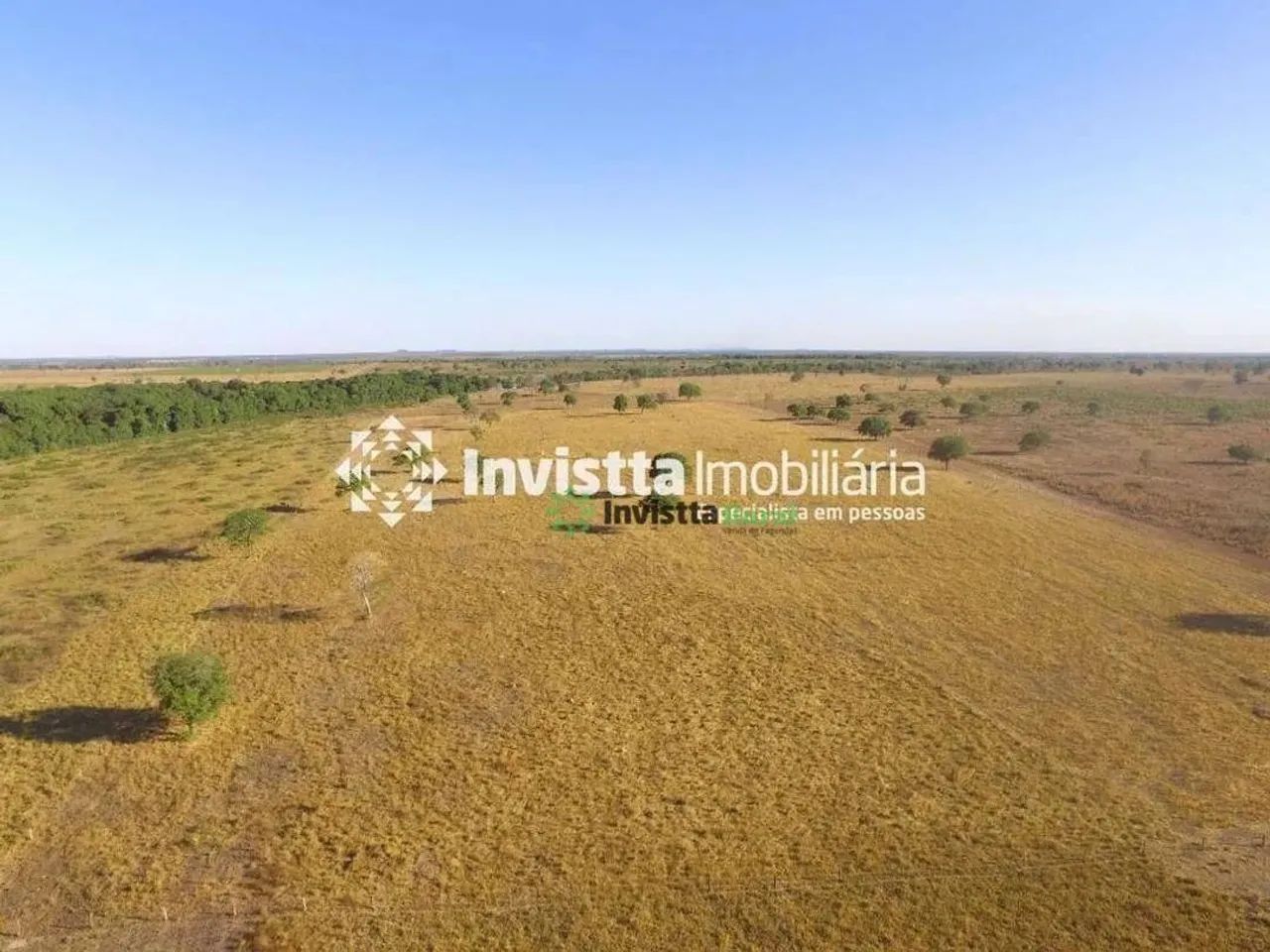 Fazenda de 714 alqueires com relevo 100% plano e logística estratégica no Tocantins - Foto 4