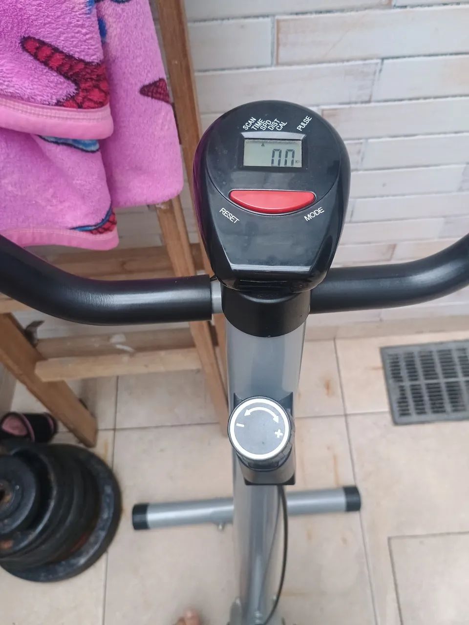 Bicicleta eclometica 