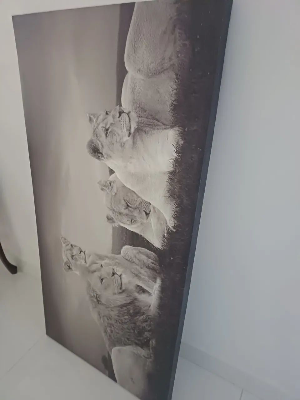 Quadro 