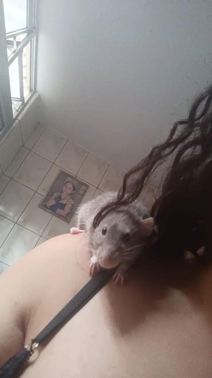 Rato Twister 65576061614211121