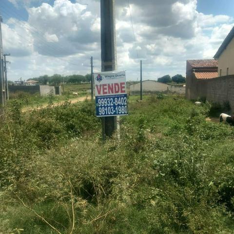 Vendo terreno no loteamento sabiá em Palmeira dos Indios - Foto 3