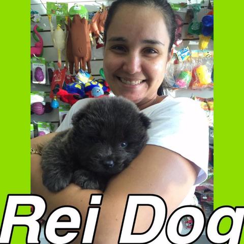 Chow em 12x, padrão Rei dog, Av. Jatiúca Maceió