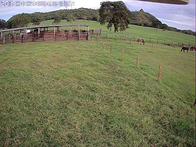 Fazenda em Guiratinga 680Hectares - Foto 12