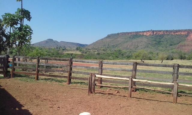 Fazenda 612 hectares em Pedra Preta - Foto 2