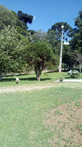 REF. 2422-1 Chácara com 5.000m², contendo chalé em madeira nobre (grápia) - Foto 10