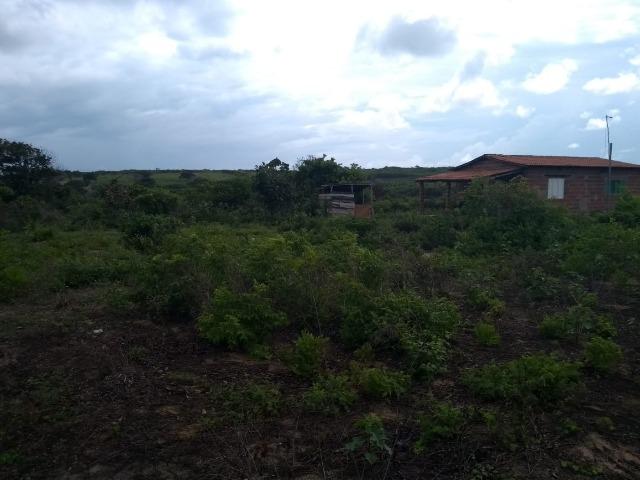 Granja BR 101 1 Hectare Arisco Paú Casa Sede Energia Elétrica Rio Maxaranguape 1km da BR - Foto 9