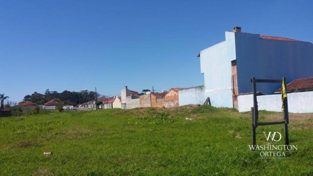 Terreno à venda, 2952 m² por r$ 2.300.000,00 - afonso pena - são josé dos pinhais/pr - Foto 6