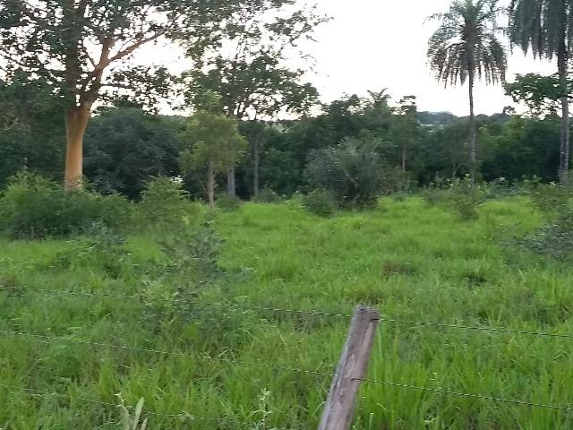 Terra Região de Chapada dos Guimarães - Foto 7