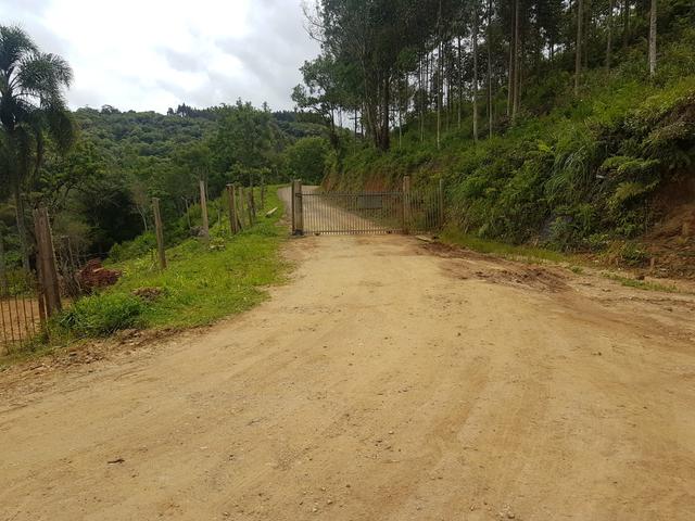 Chacrinha - Foto 9