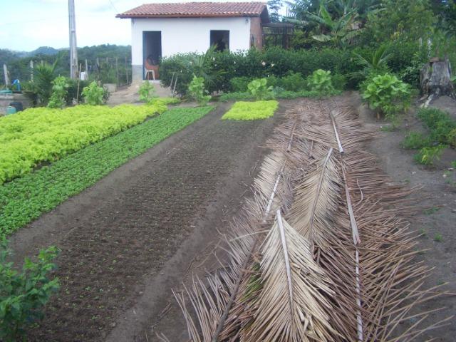 Negocio de oportunidade! Área para loteamento parceria/permuta 500.000m2 - Foto 5