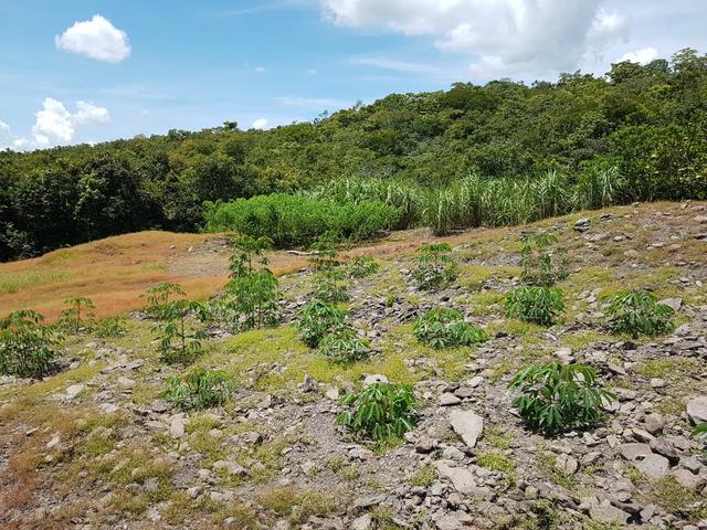 Sitio no Rio Manso - Foto 13