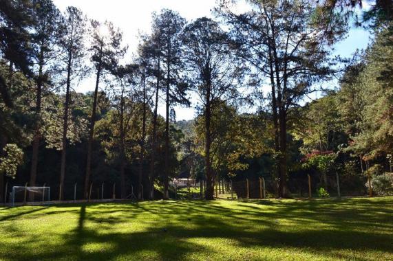 Área à venda, 72.944 m² por r$ 12.000.000 - jardim paraíso - guarulhos/sp - Foto 4