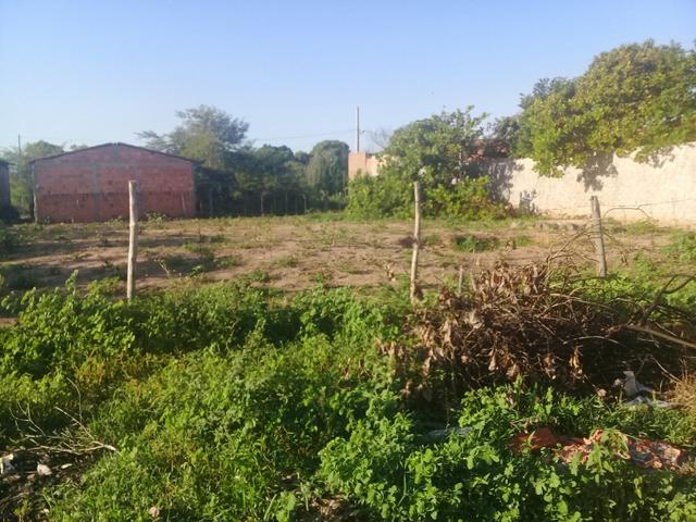 Vende -se lotes abaixe o preço pra vender logo - Foto 5
