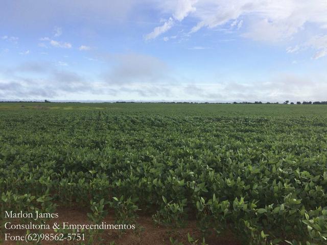 Fazenda em Mundo Novo! - Foto 5