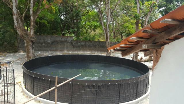 Tanques de lona - Foto 2