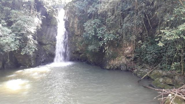 Terreno/Cachoeira - Foto 5
