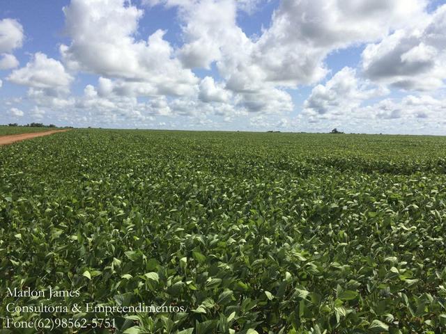 Fazenda em Mundo Novo! - Foto 10