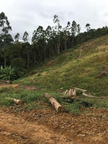 Terreno/Cachoeira - Foto 16