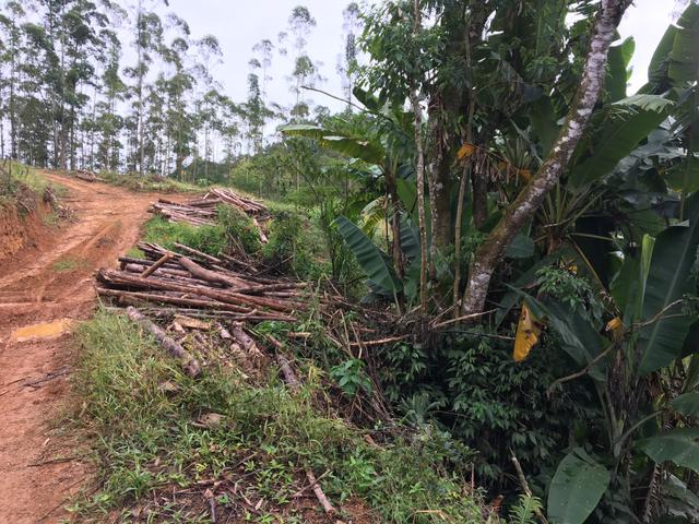 Terreno/Cachoeira - Foto 12