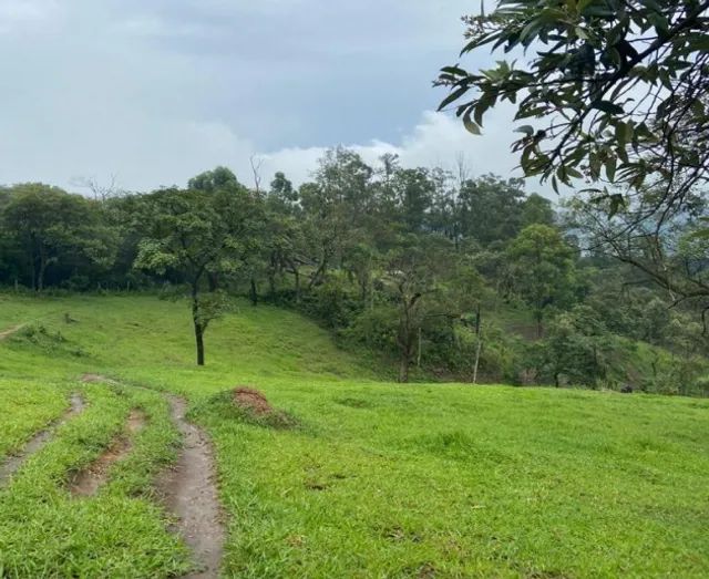 Excelente Propriedade Grande Terreno em Área Urbana