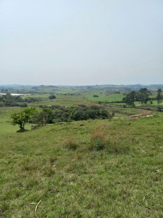 Chácara Faz. Ilhéus 2,0 Ha - Foto 6