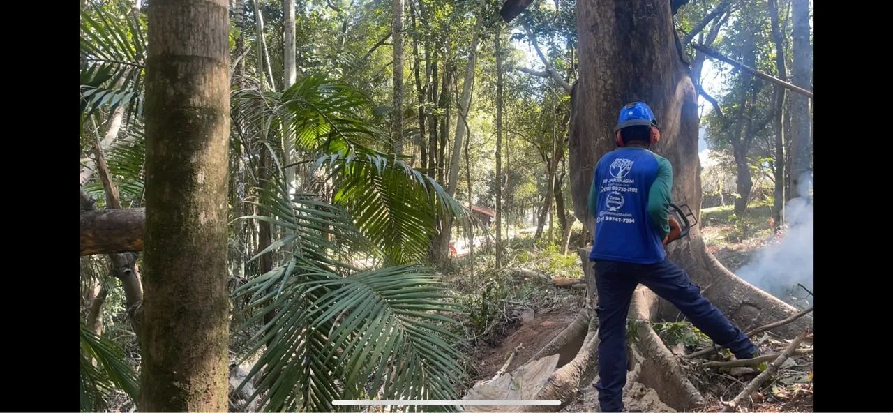 Poda de árvores em geral  - Foto 4