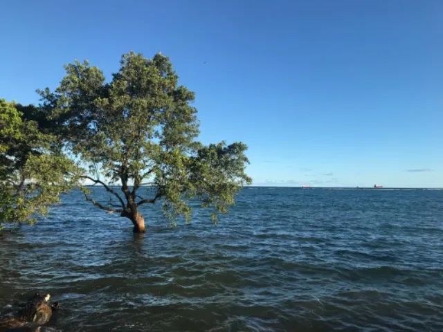 Alugo Village Temporada - Foto 13