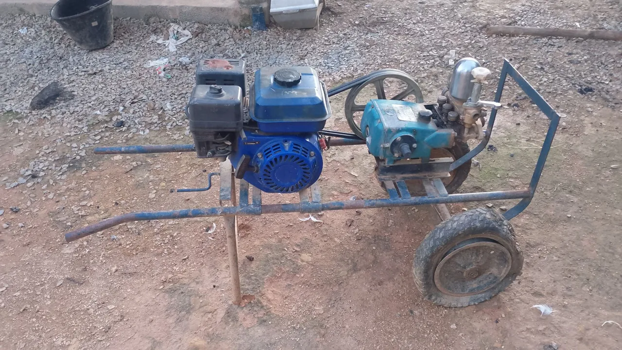 Pulverizador Agrícola com Motor a Gasolina