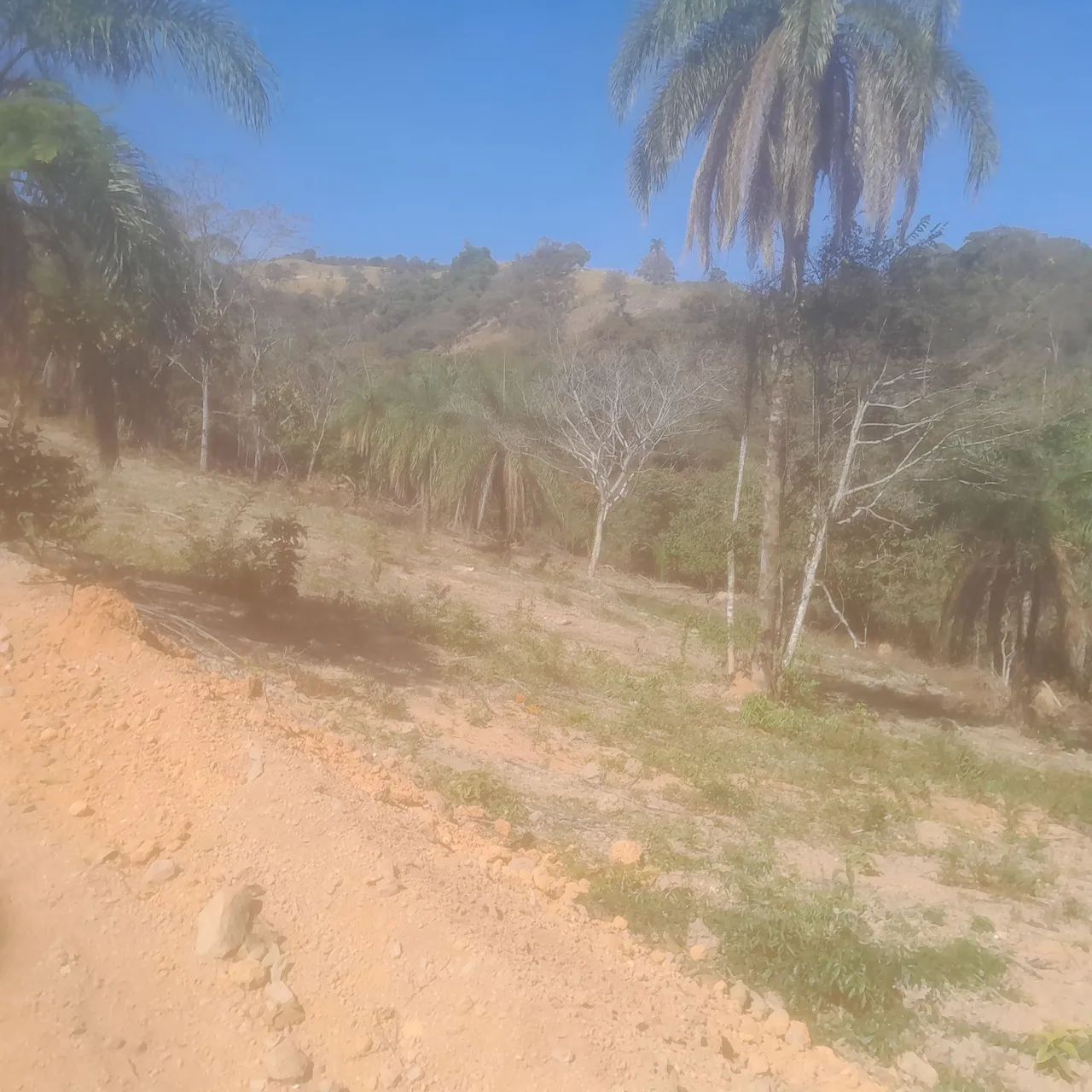 Chacara rural no sítio novo  - Foto 4