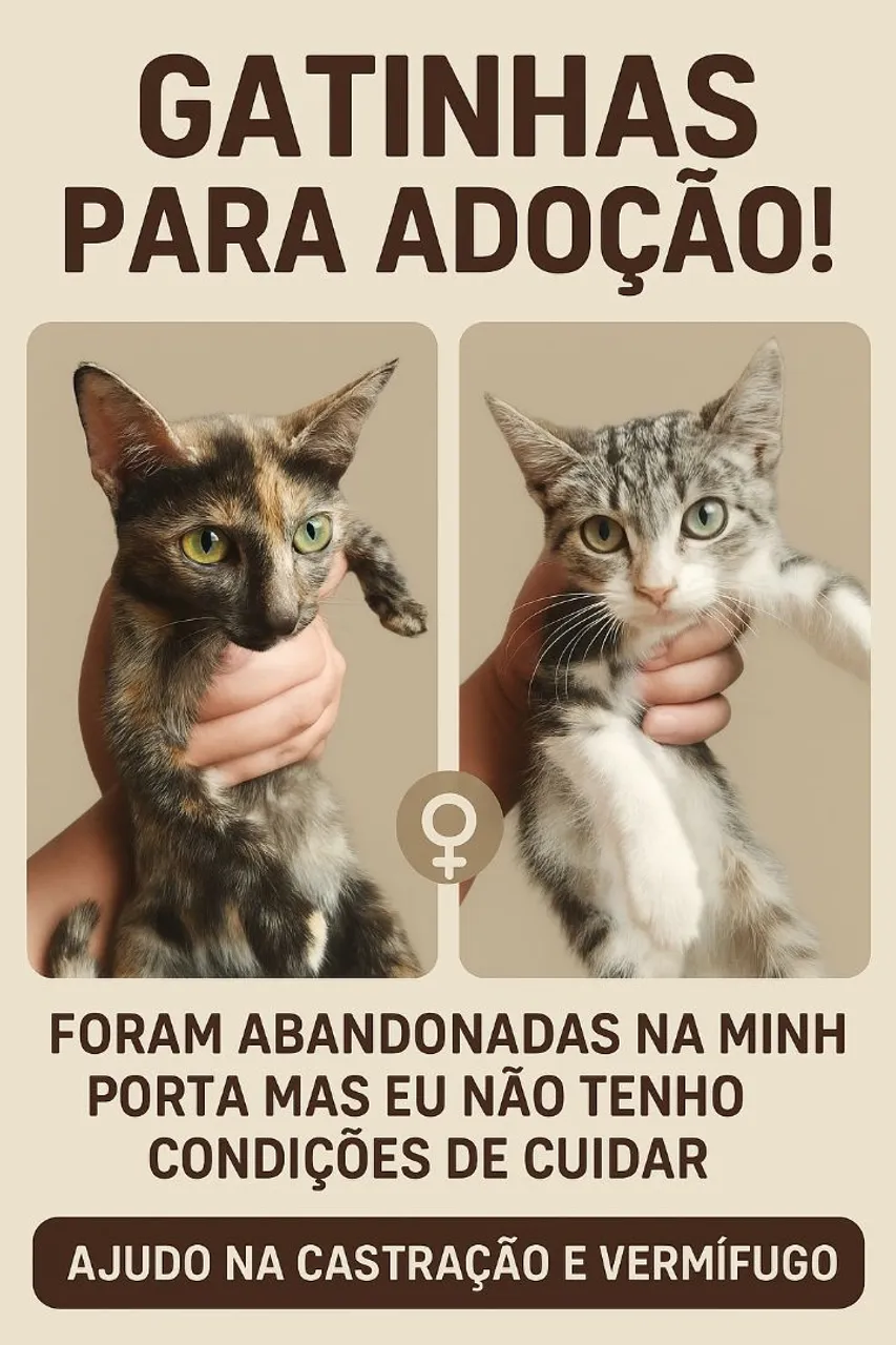 Duas gatinhas para adoção, ajudo com castração