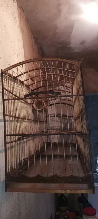 Gaiola voador  - Foto 2