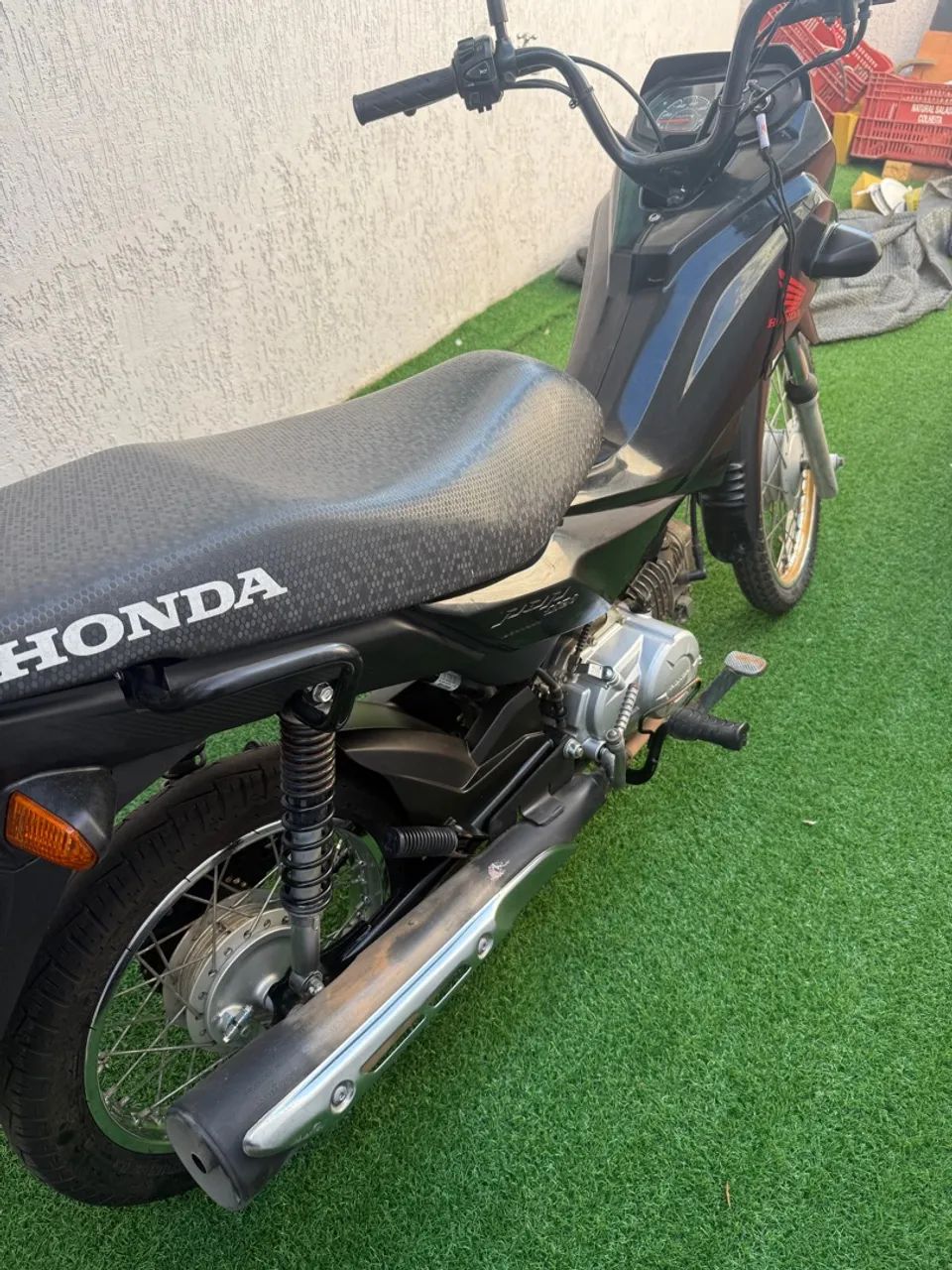 Honda pop 2023