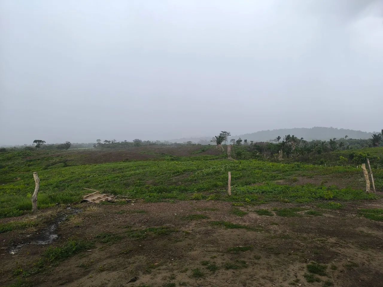 Fazenda em Parnarama-ma, - Foto 3