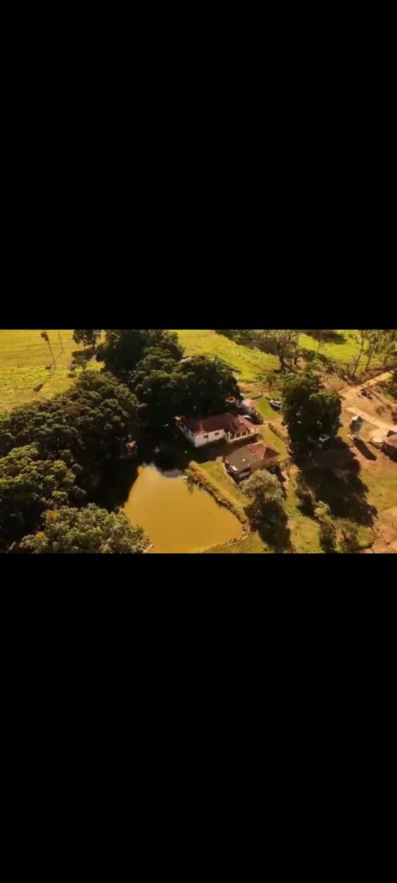 Fazenda região de caldas  - Foto 4