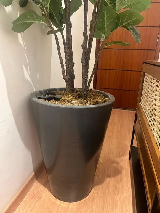 Planta artificial de Chão Ficus Lyrata - 180CM - Foto 3