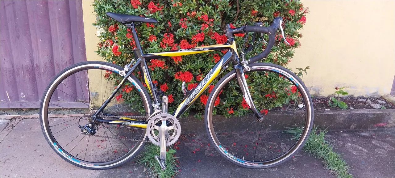 Bicicleta de Ciclismo speed Vicini Roubaix