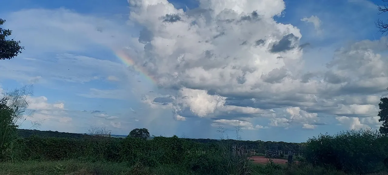 Vaga para serviço em Fazenda.