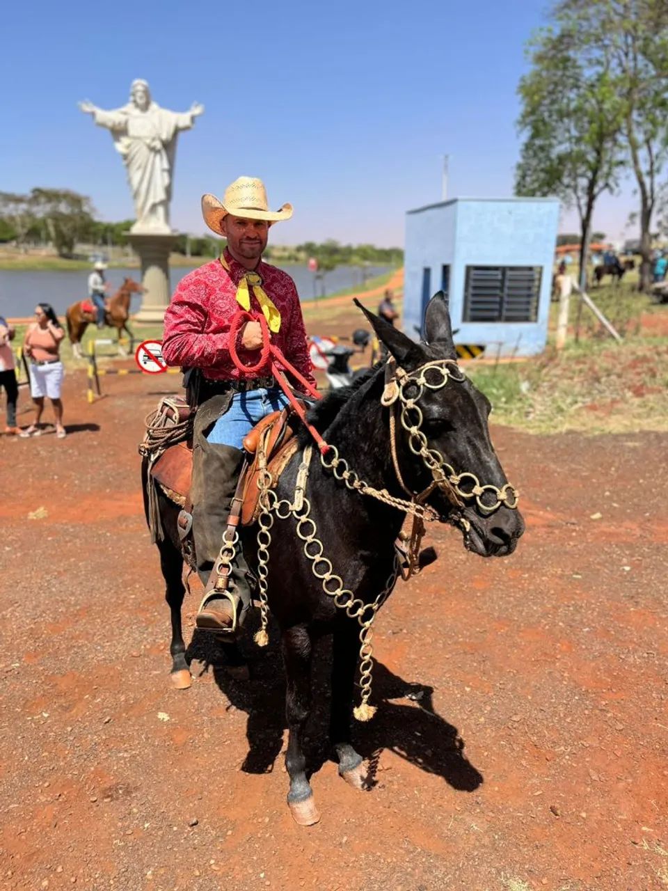 Mula preta  - Foto 2